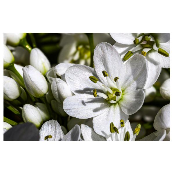 PHOTO84, CLUB, 84 , LUBERON